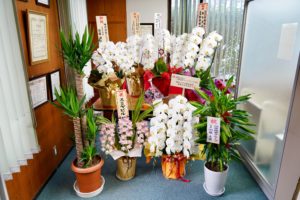 お花をいただきました