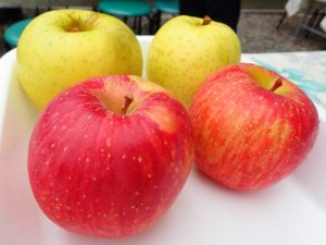 日帰り社員旅行2019秋